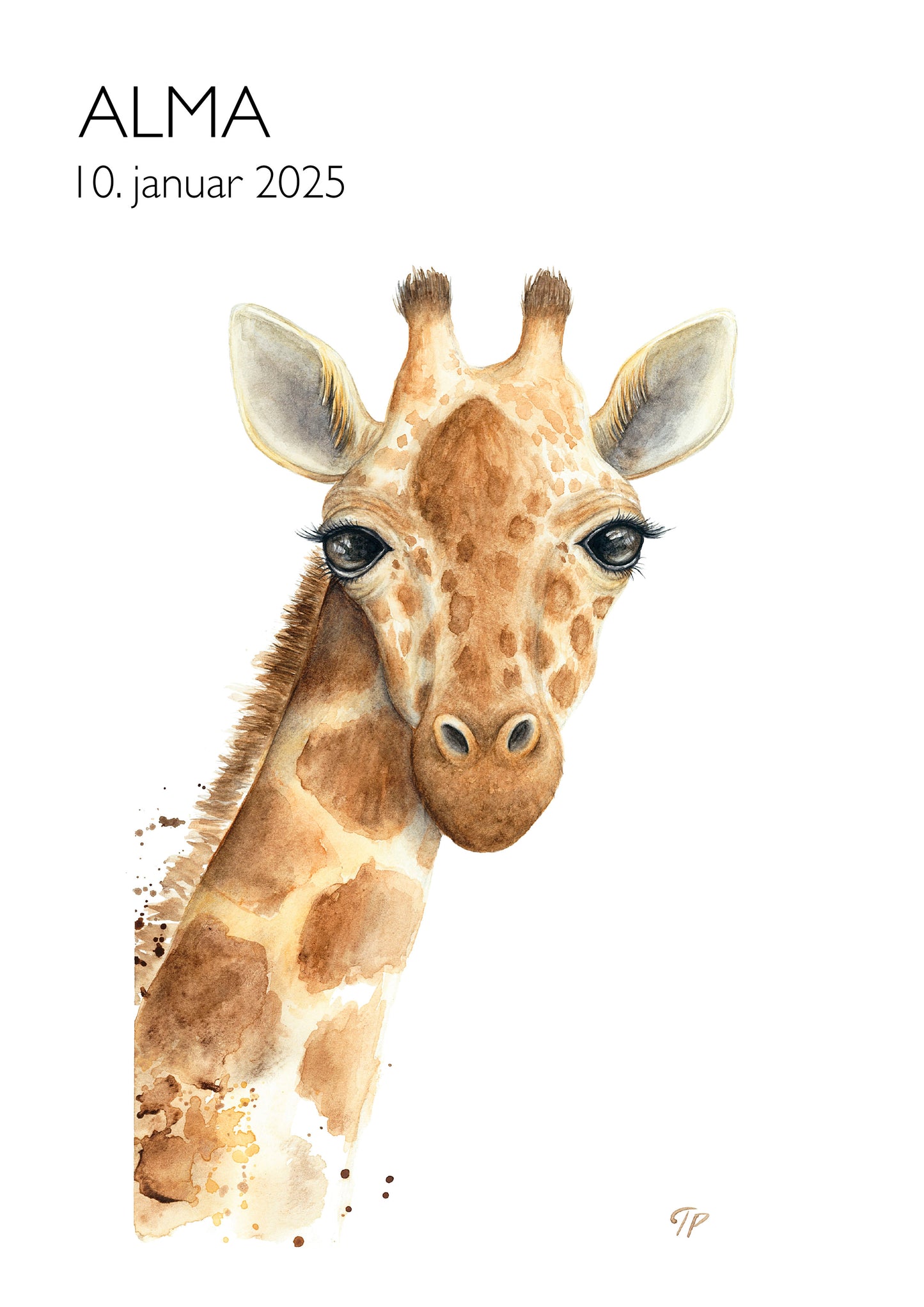 Gentle Giraffe