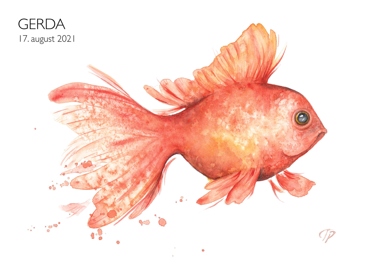 Generous Goldfish