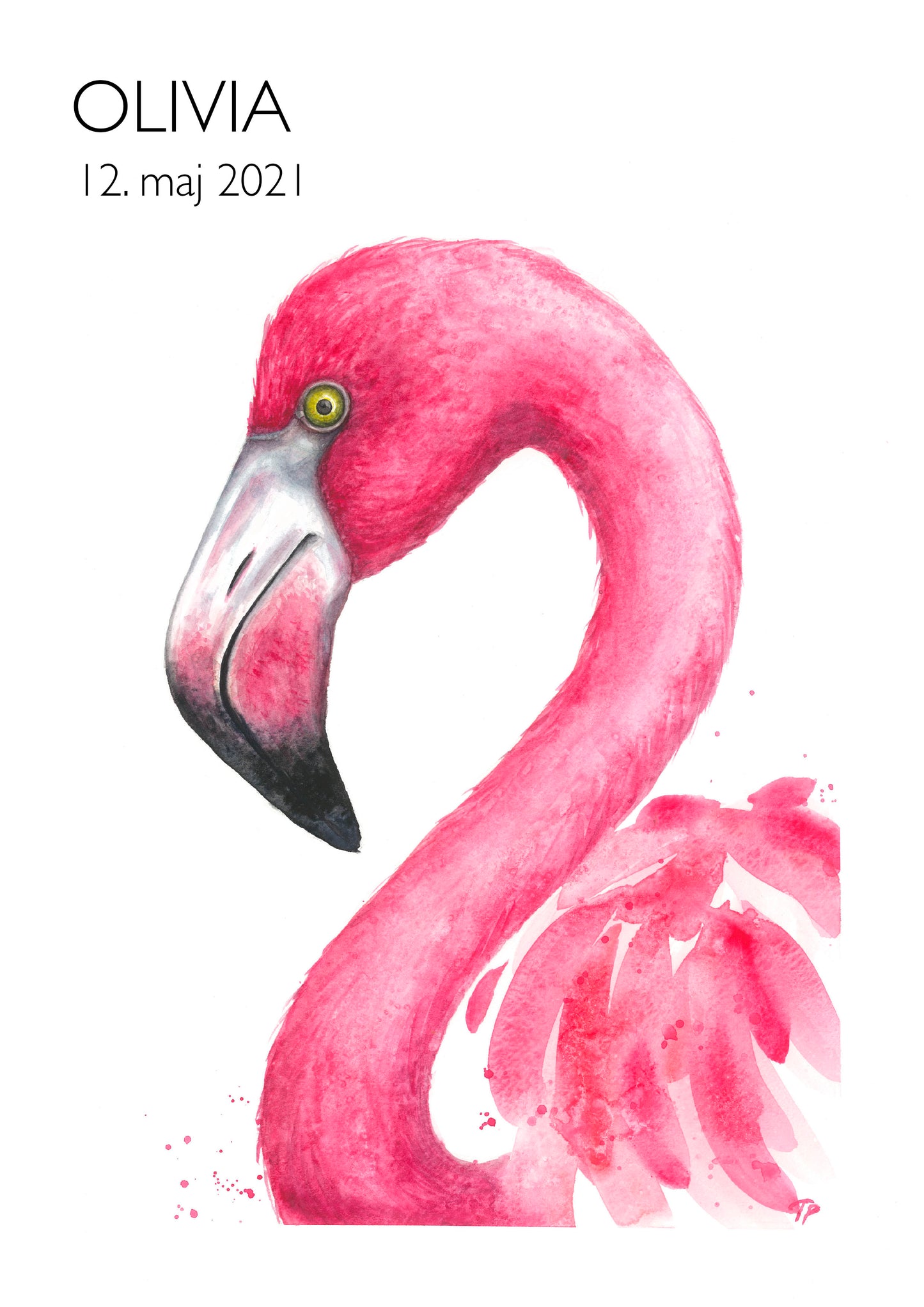 Fabulous Flamingo