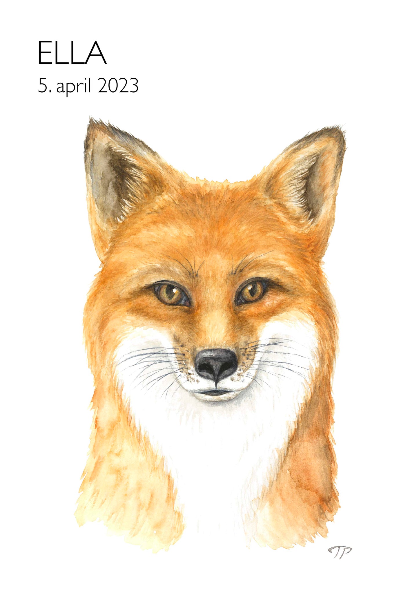 Foxy Fox
