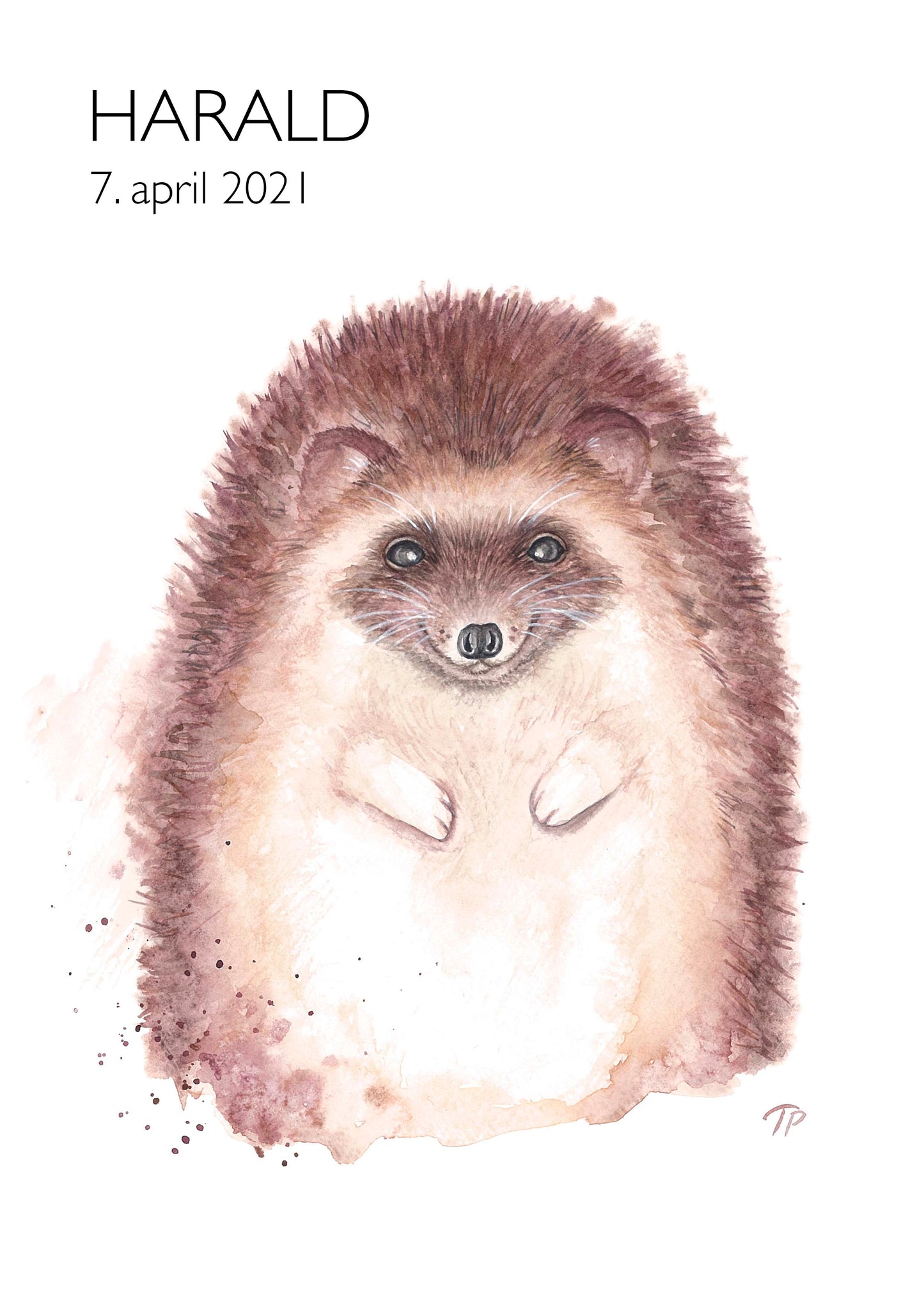 Happy Hedgehog