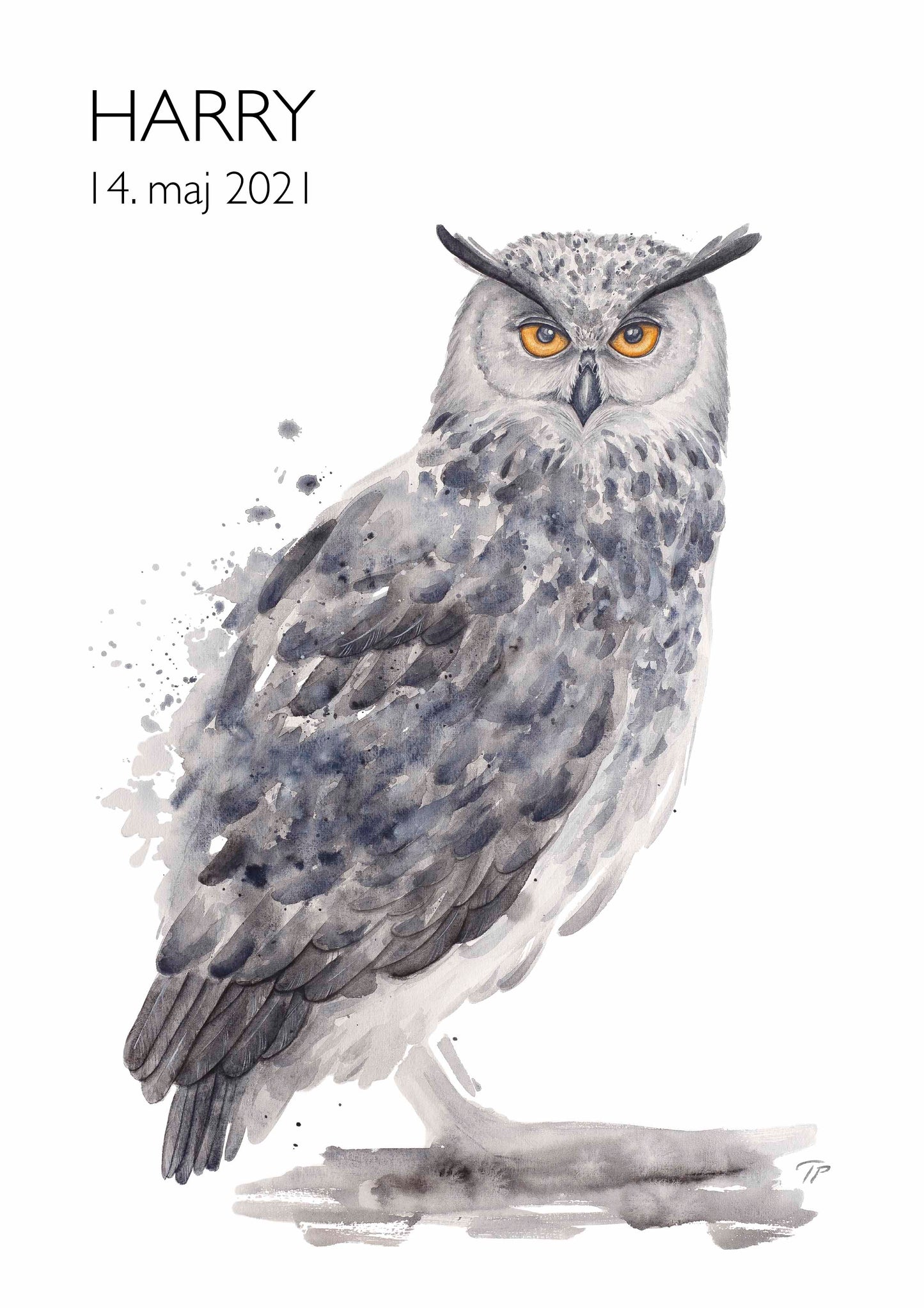 Hornourable Horned Owl