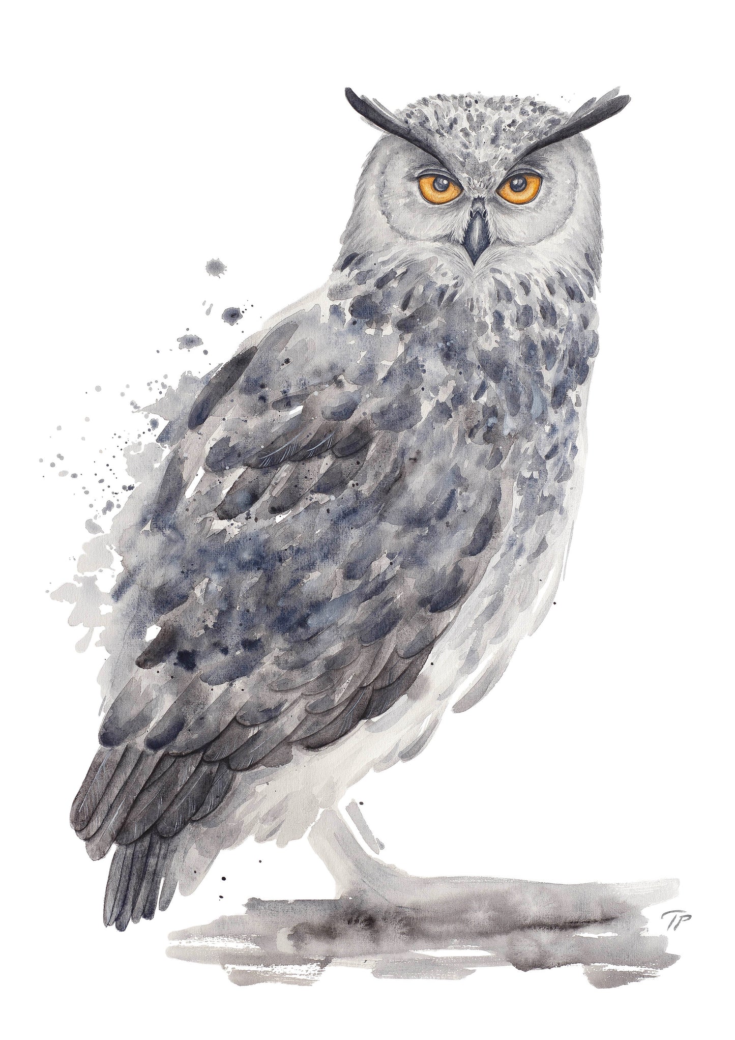 Hornourable Horned Owl