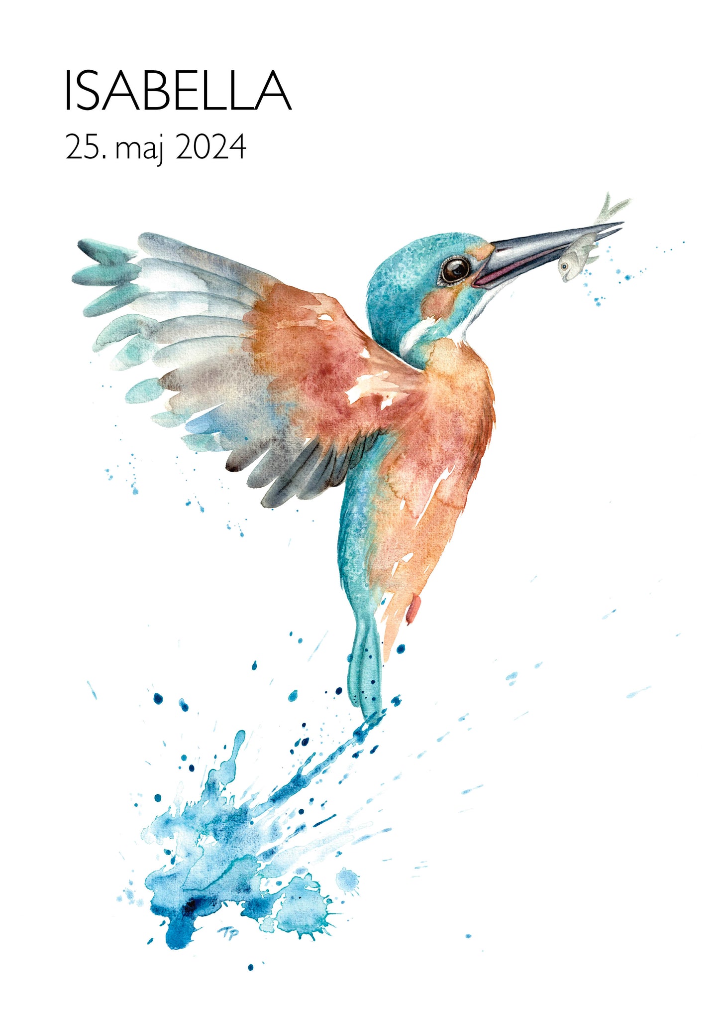 Catchy King Fisher