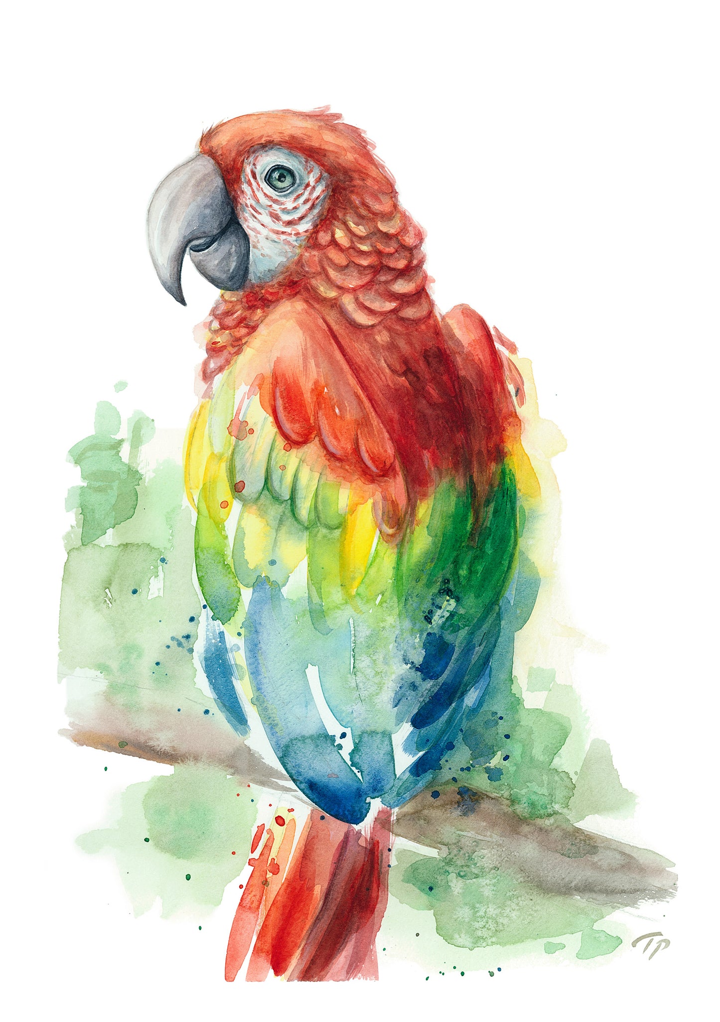 Playful Parrot