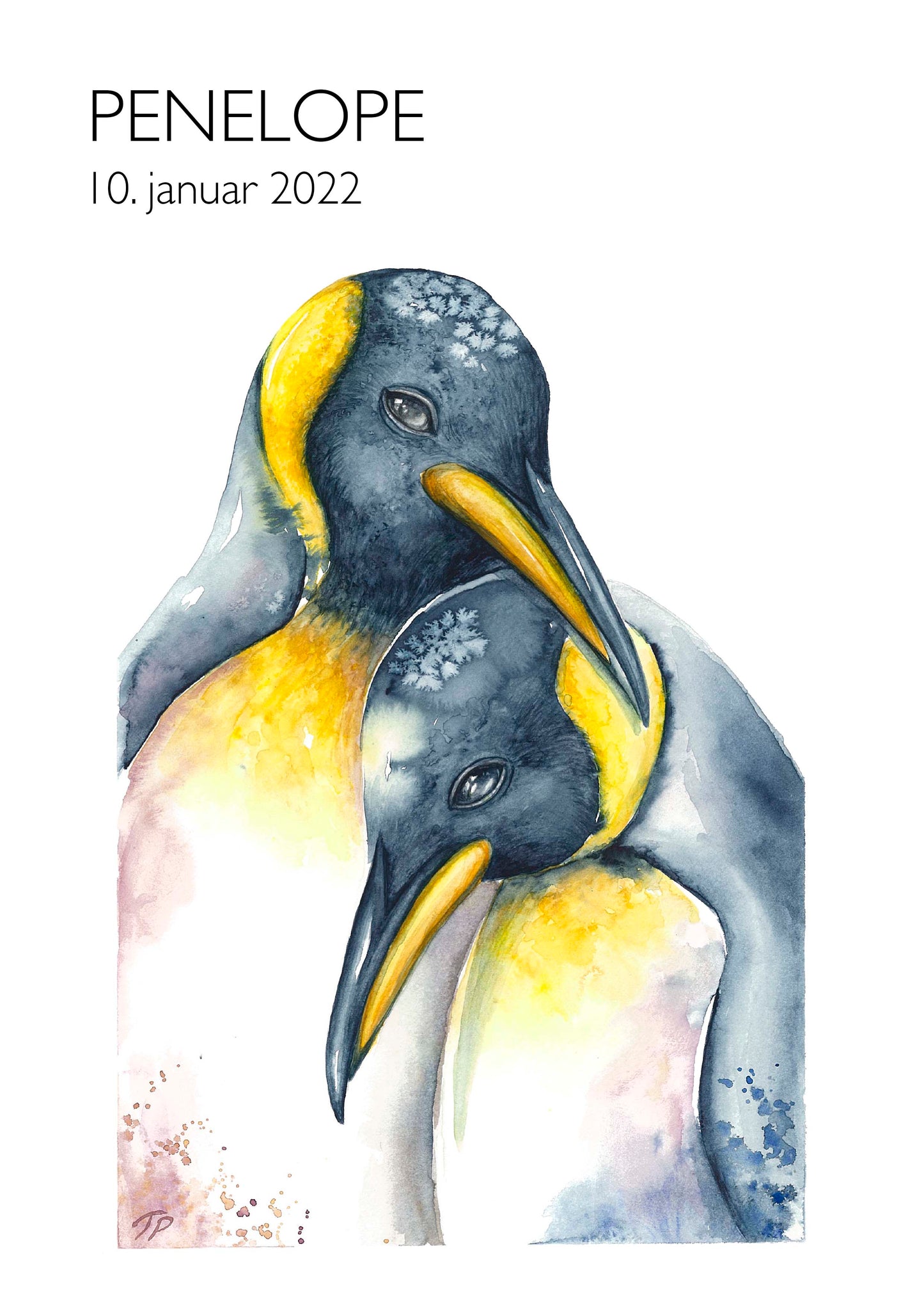 Passionate Penguins