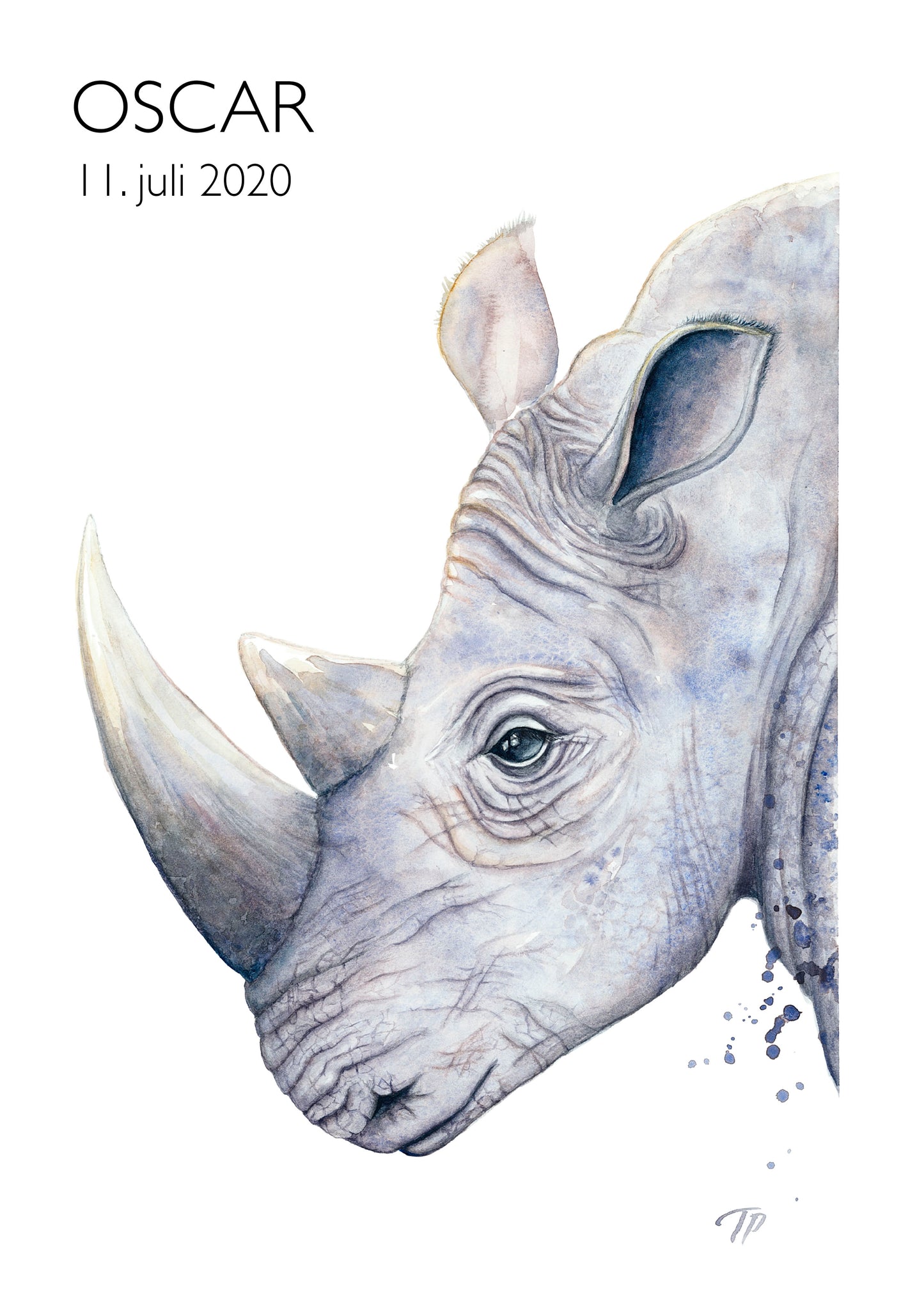 Reflective Rhino