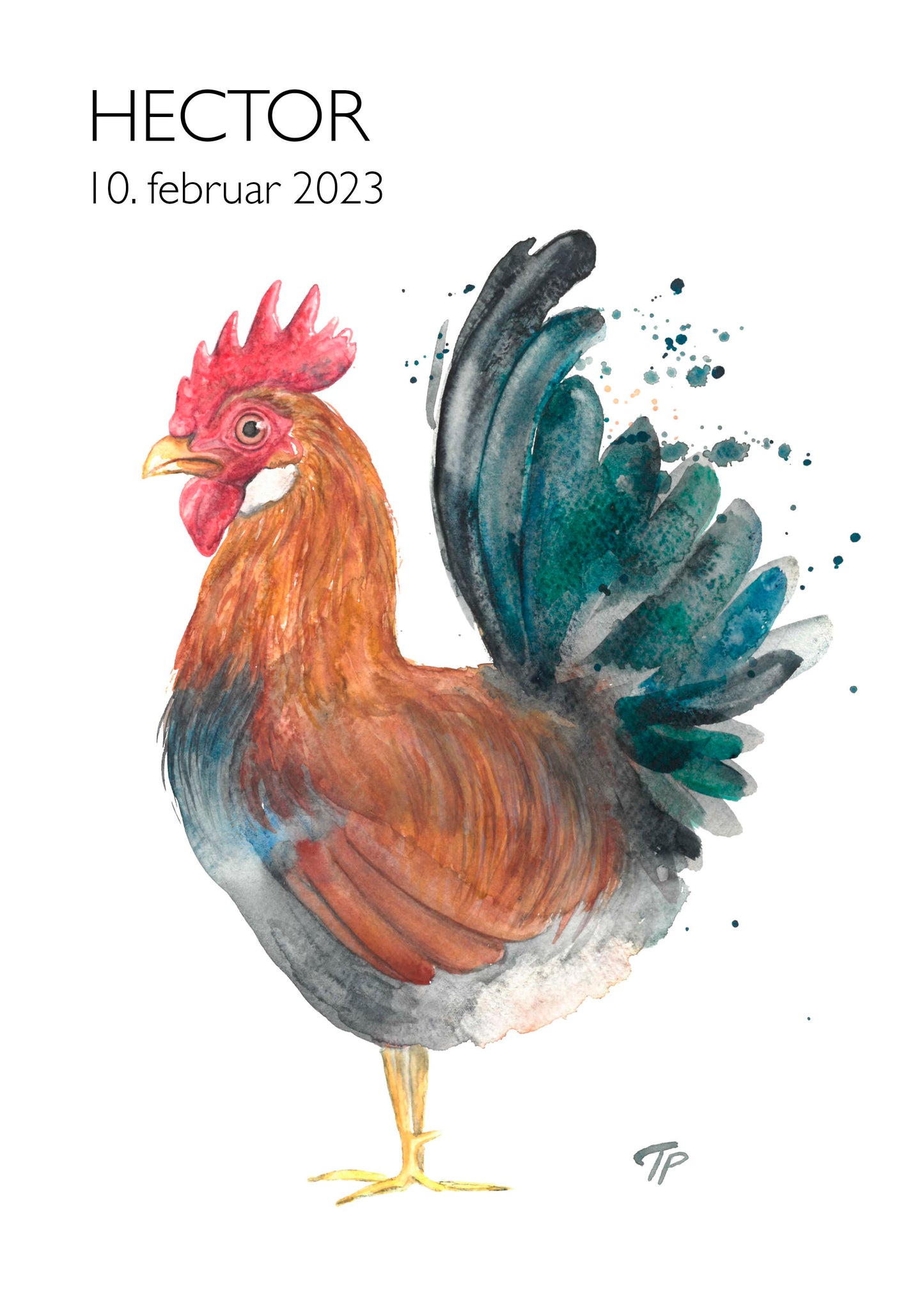 Radiant Rooster