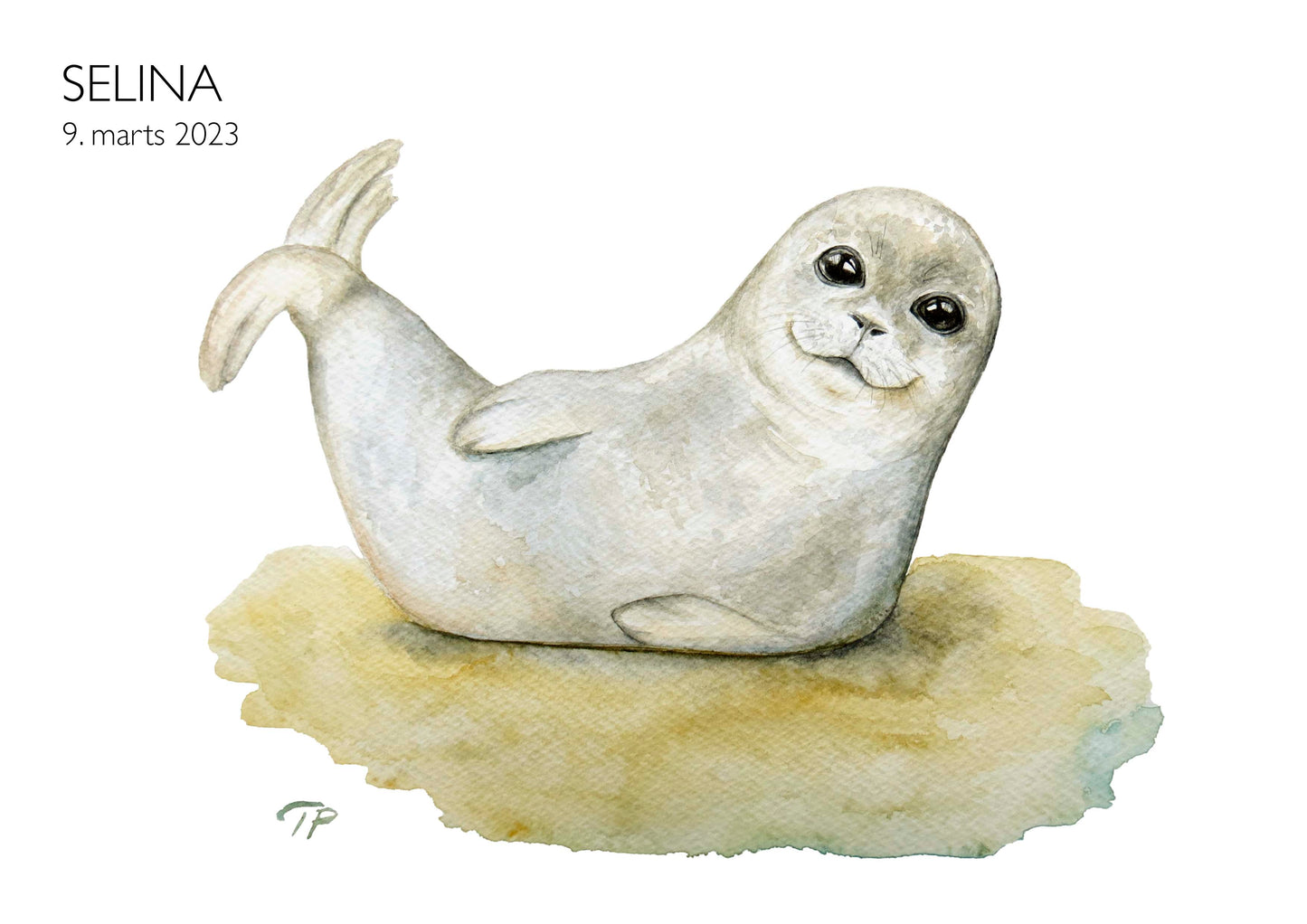 Silly Seal