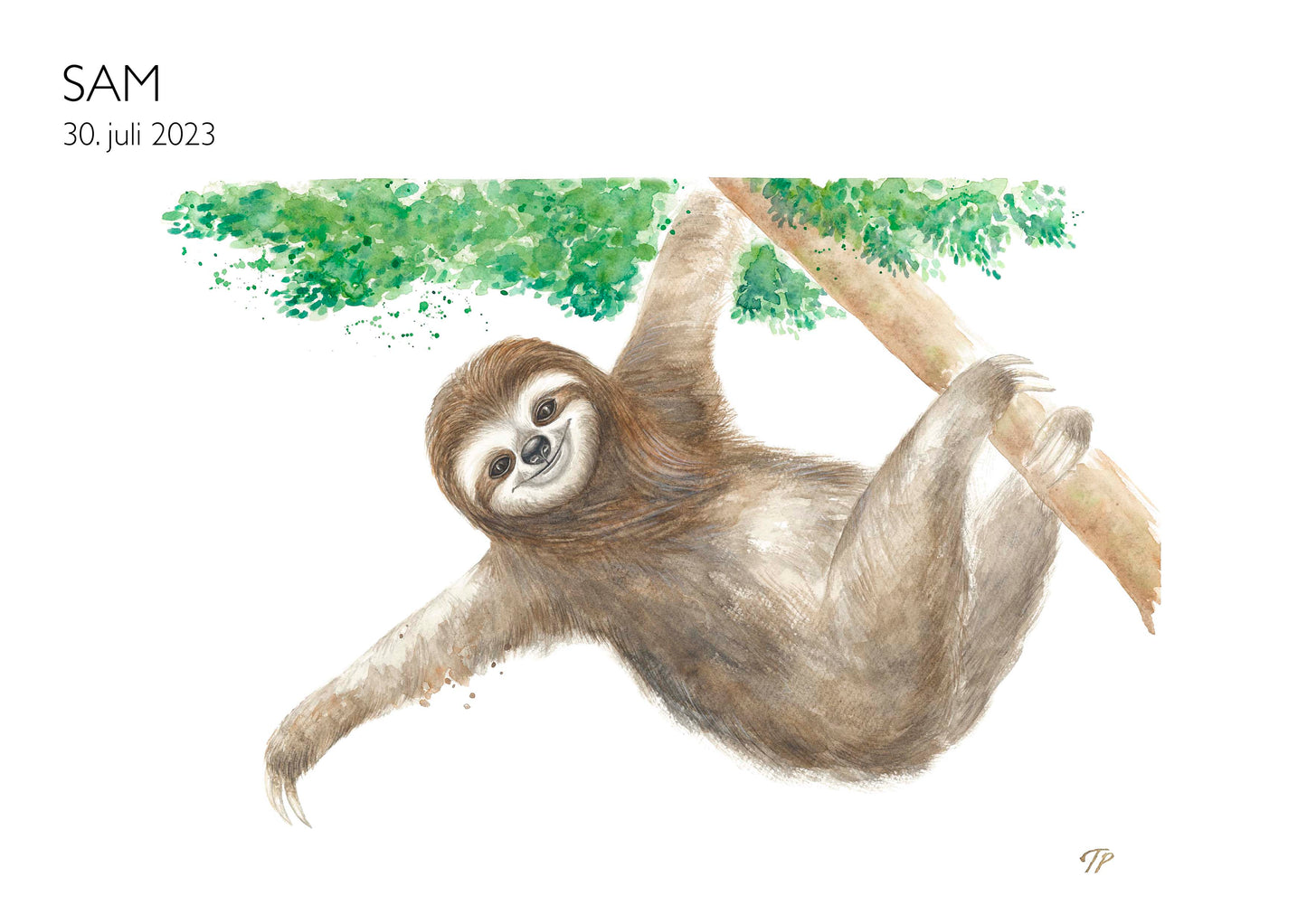 Sloppy Sloth