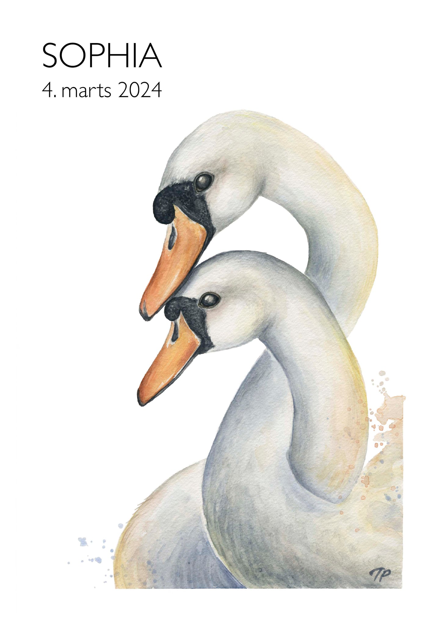 Swirling Swans