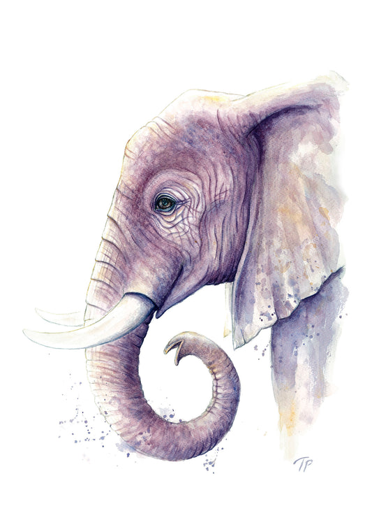 Elegant Elephant