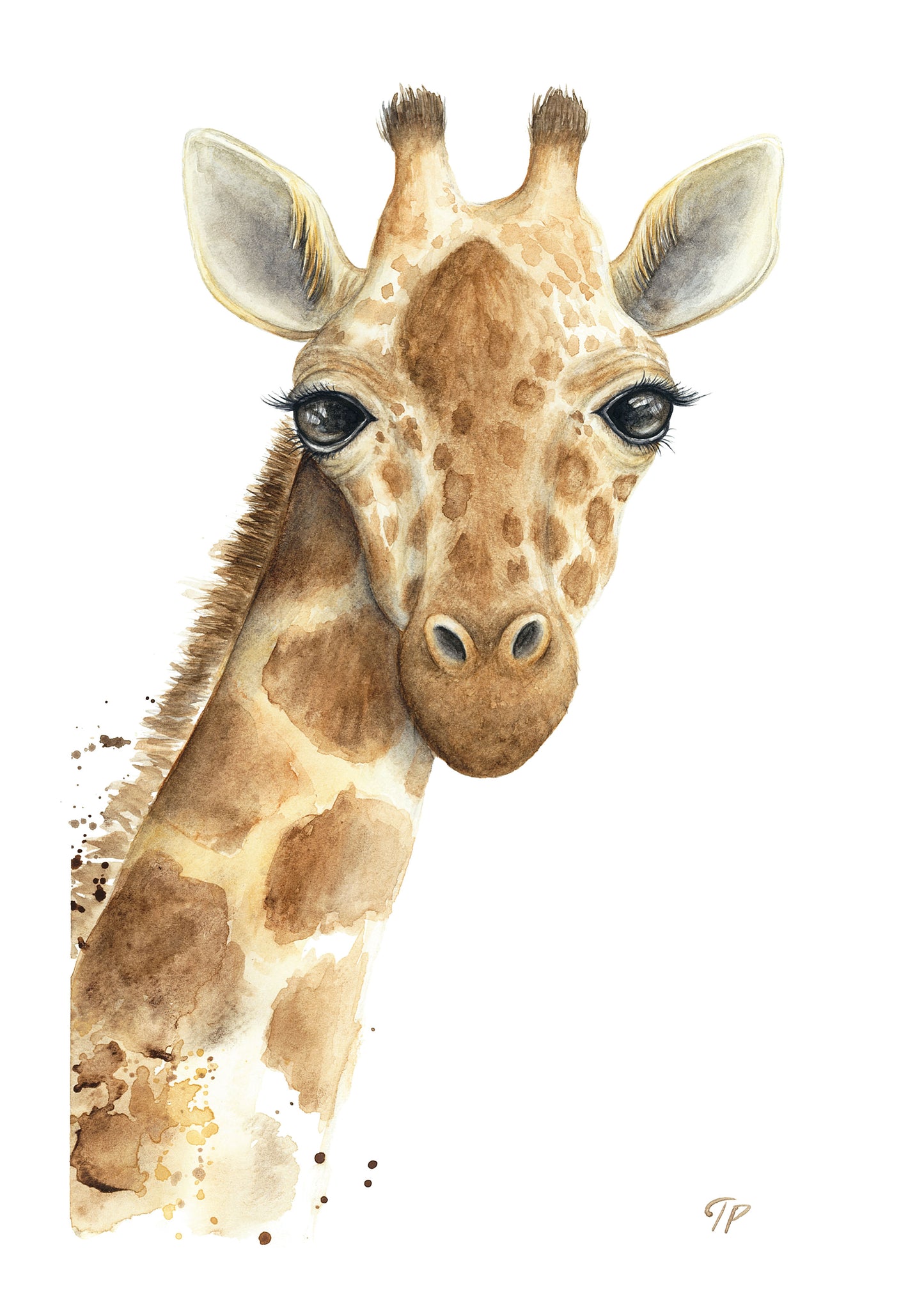 Gentle Giraffe