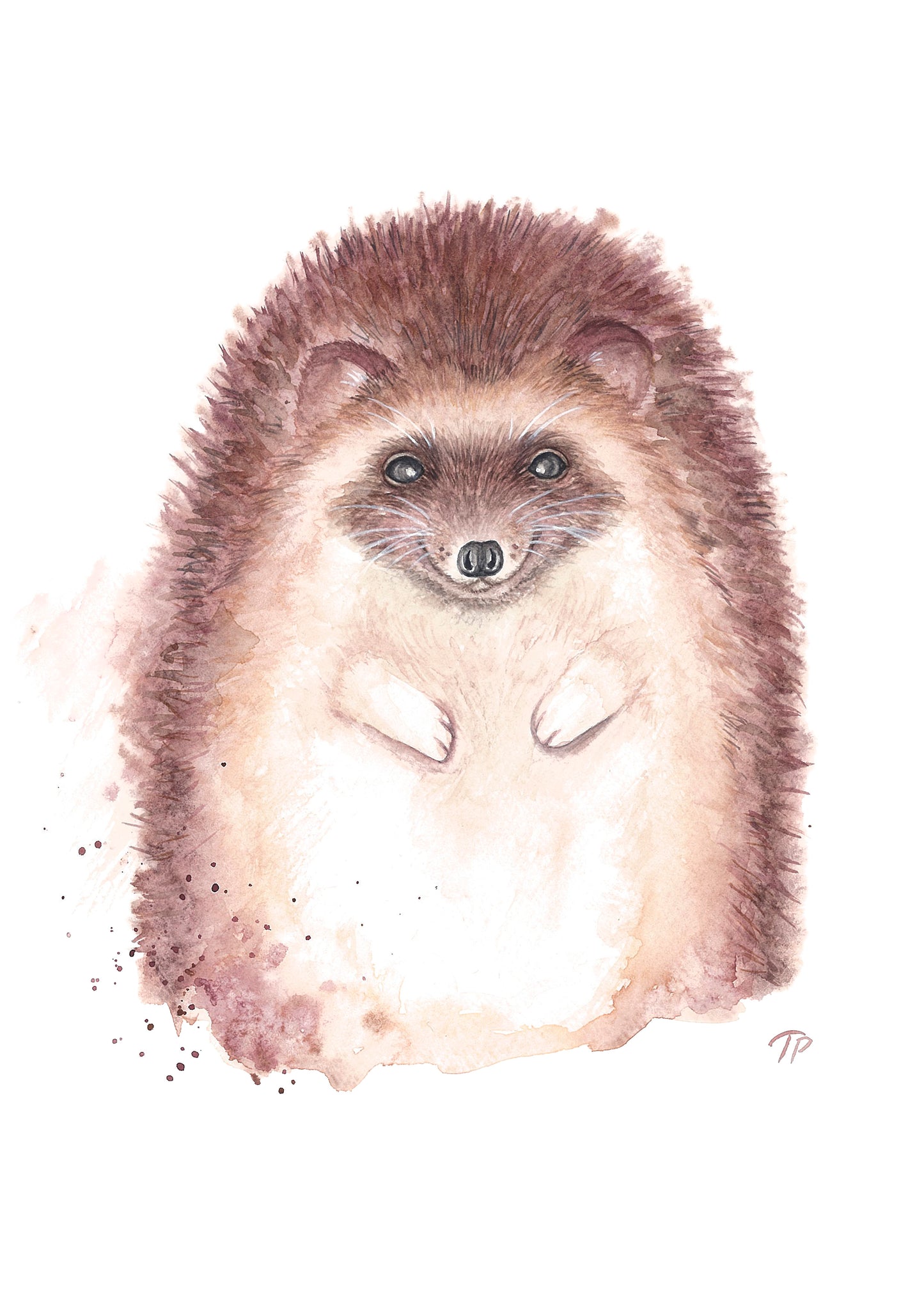 Happy Hedgehog