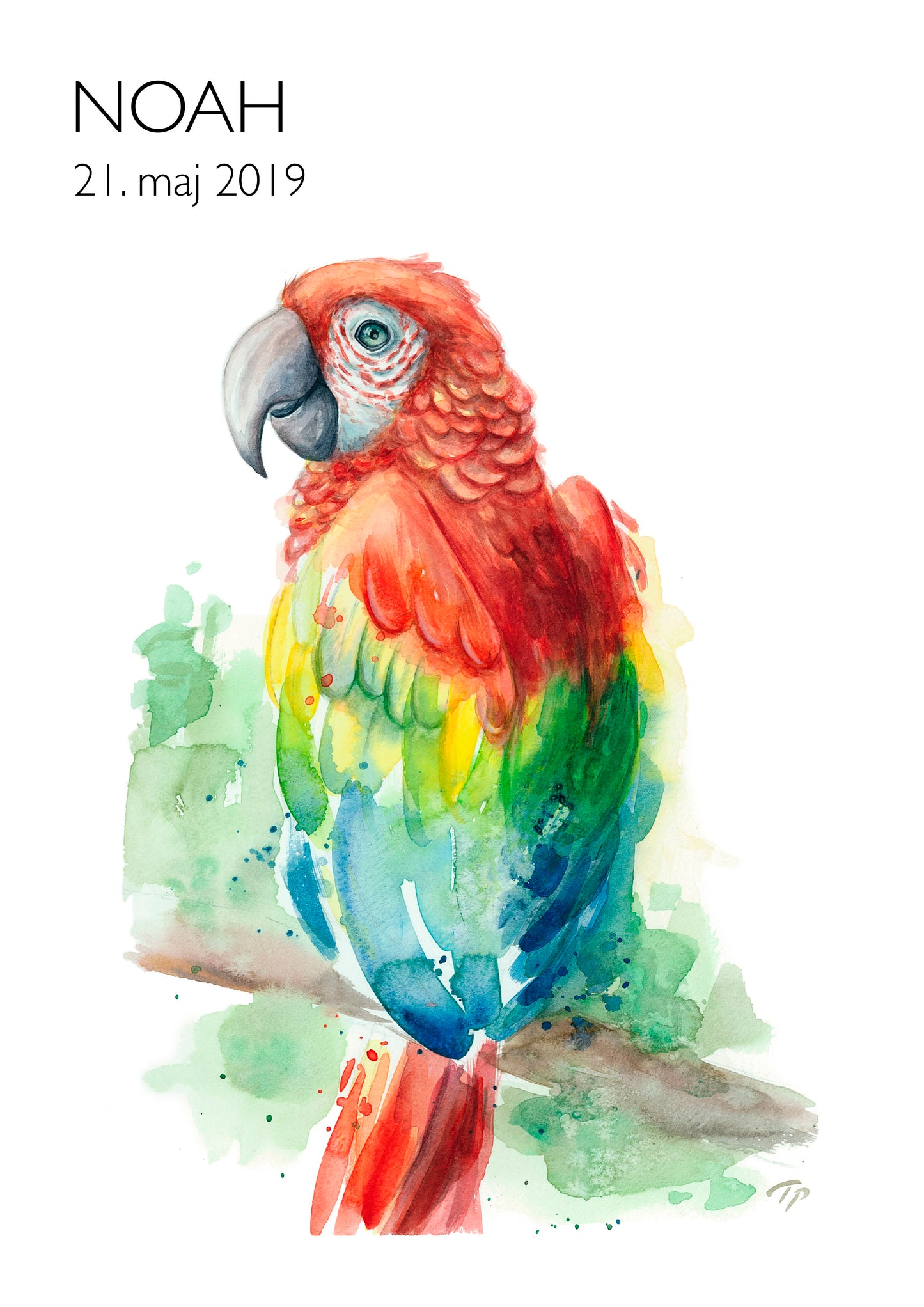 Playful Parrot
