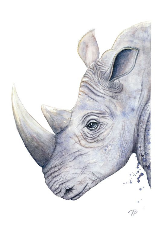 Reflective Rhino