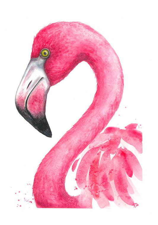 Fabulous Flamingo